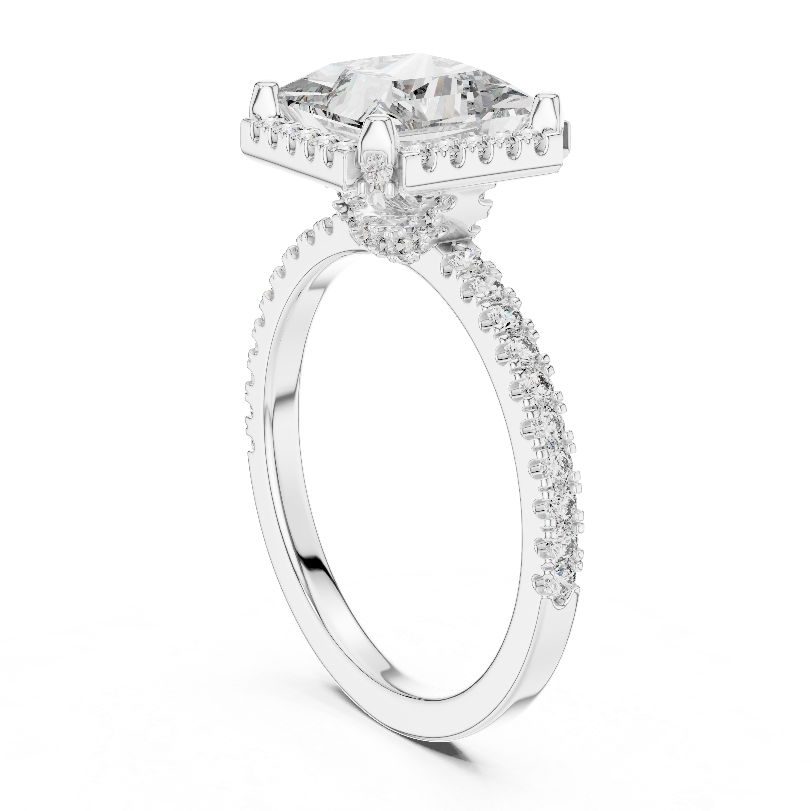 Princess And Round Cut Brilliant Moissanite VVS1 Eternity Engagement Ring
